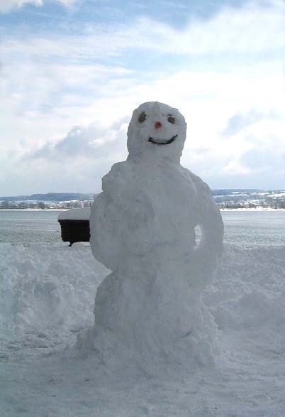 Иллюстрация к книге — Сказочная энциклопедия для маленьких вундеркиндов. Чудеса в природе [i_036.jpg]