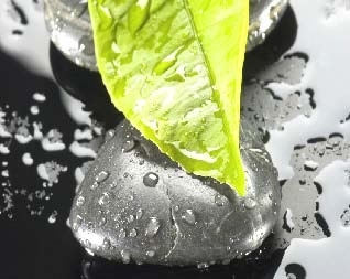 Иллюстрация к книге — Сказочная энциклопедия для маленьких вундеркиндов. Чудеса в природе [i_039.jpg]