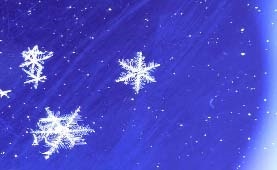 Иллюстрация к книге — Сказочная энциклопедия для маленьких вундеркиндов. Чудеса в природе [i_041.jpg]