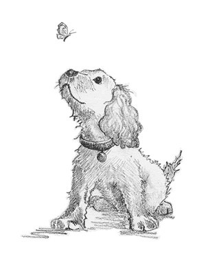 Иллюстрация к книге — Щенок Любимчик, или Давай мириться! [i_001.jpg]