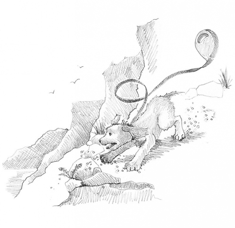 Иллюстрация к книге — Щенок Любимчик, или Давай мириться! [i_019.jpg]