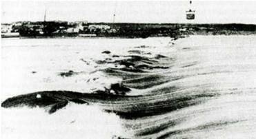 Иллюстрация к книге — Загадка Скапа-Флоу [pic_25.jpg]