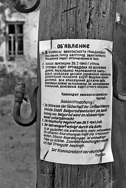 Иллюстрация к книге — Освобождение. Переломные сражения 1943 года [i_082.jpg]