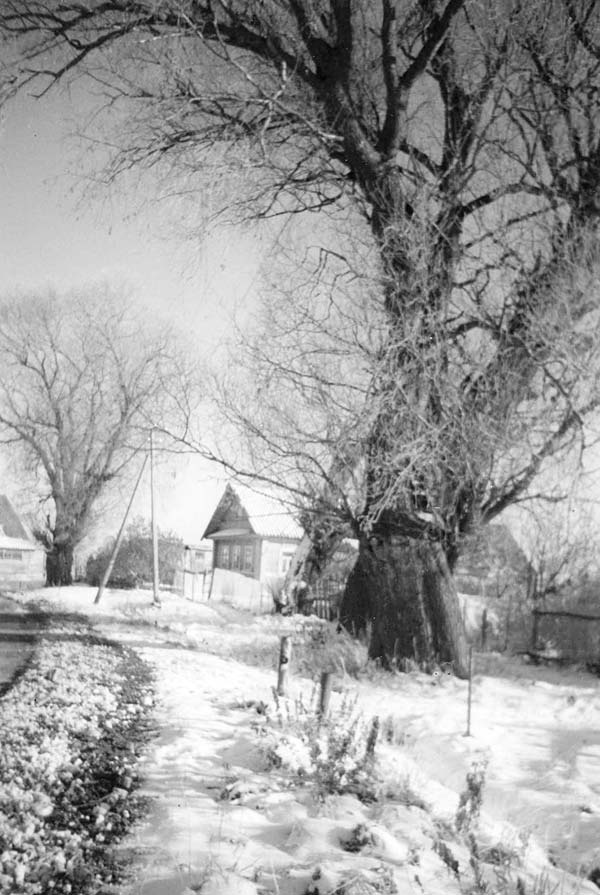 Иллюстрация к книге — Генерал Кутепов. Гибель Старой гвардии [_07.jpg]