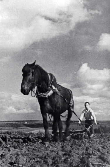 Иллюстрация к книге — Все для фронта? Как на самом деле ковалась победа [i_093.jpg]