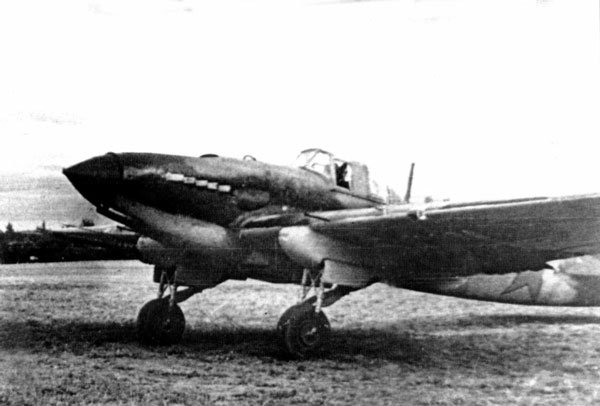 Иллюстрация к книге — &quot;Лаптежник&quot; против &quot;черной смерти&quot;. Обзор развития и действий немецкой и советской штурмовой авиации в ходе Второй мировой войны [i_019.jpg]