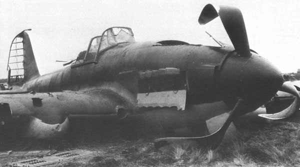 Иллюстрация к книге — &quot;Лаптежник&quot; против &quot;черной смерти&quot;. Обзор развития и действий немецкой и советской штурмовой авиации в ходе Второй мировой войны [i_044.jpg]