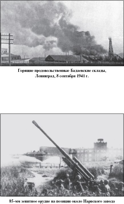 Иллюстрация к книге — Цель – корабли. Противостояние Люфтваффе и советского Балтийского флота [i_028.jpg]