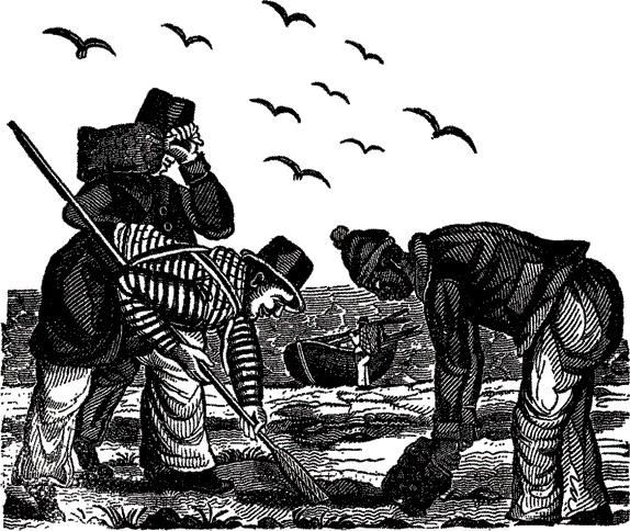 Иллюстрация к книге — Пираты. Рассказы о знаменитых морских разбойниках [i_029.jpg]