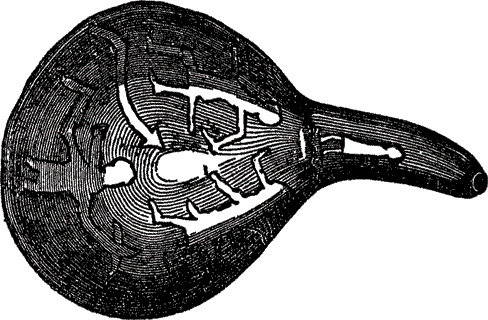 Иллюстрация к книге — Пираты. Рассказы о знаменитых морских разбойниках [i_053.jpg]