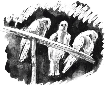 Иллюстрация к книге — За секунду до взрыва [i_003.jpg]