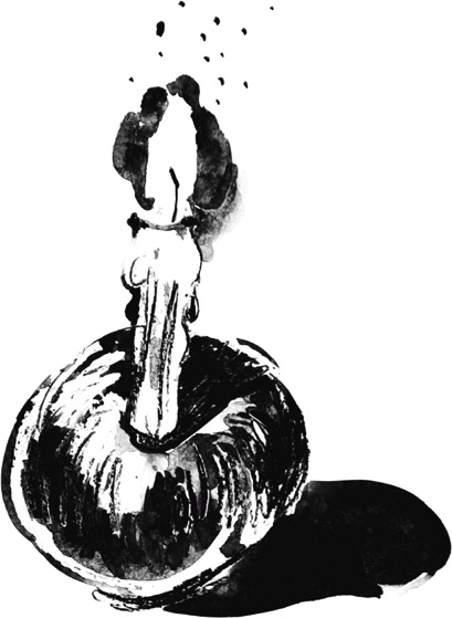 Иллюстрация к книге — За секунду до взрыва [i_033.jpg]