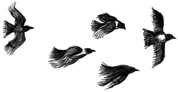 Иллюстрация к книге — Баба Яга пишет [i_001.jpg]