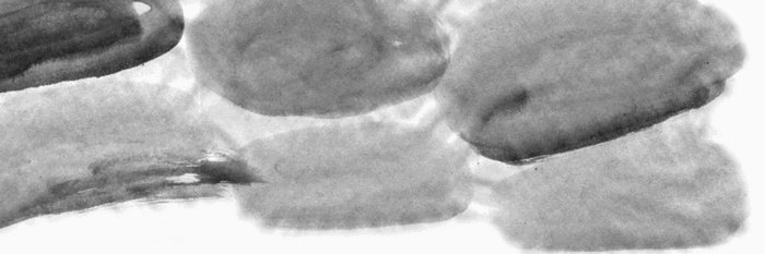 Иллюстрация к книге — Баба Яга пишет [i_024.jpg]