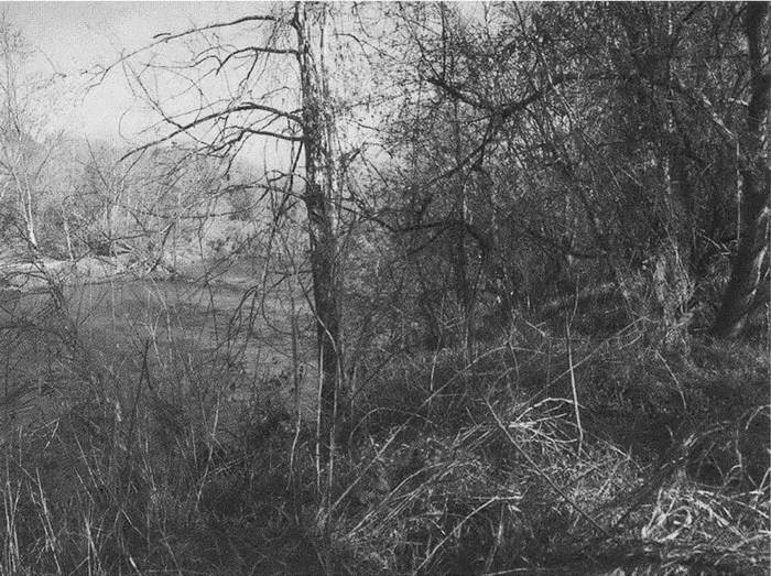 Иллюстрация к книге — Джефферсон [i_009.jpg]