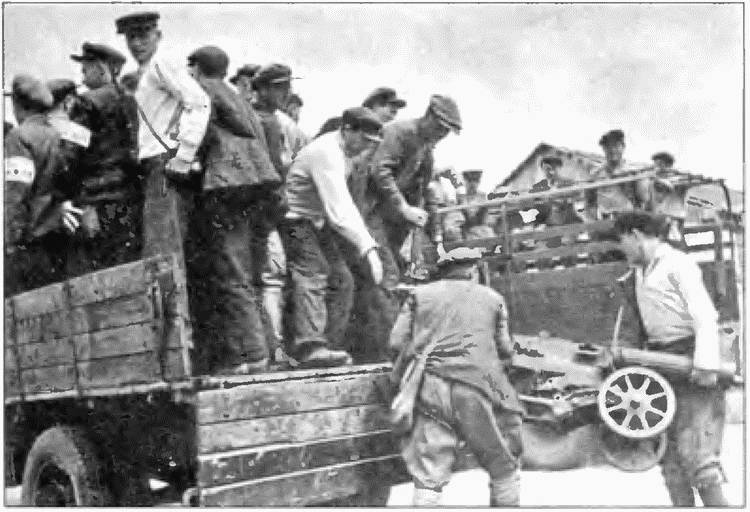 Иллюстрация к книге — Коричневые тени в Полесье. Белоруссия 1941-1945 [i_034.jpg]