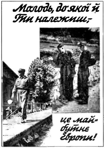 Иллюстрация к книге — Коричневые тени в Полесье. Белоруссия 1941-1945 [i_053.jpg]