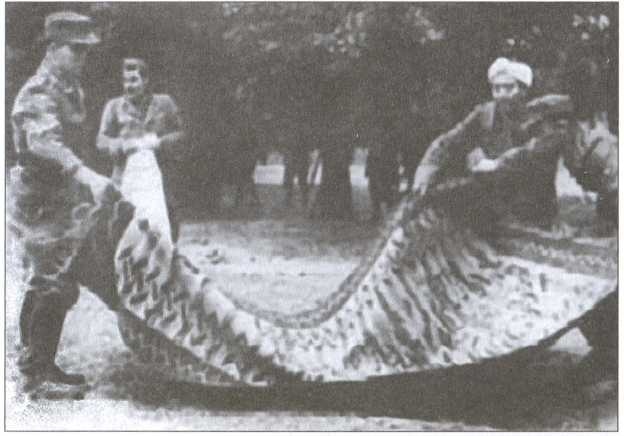 Иллюстрация к книге — Крым под пятой Гитлера. Немецкая оккупационная политика в Крыму 1941-1944 гг. [i_031.jpg]