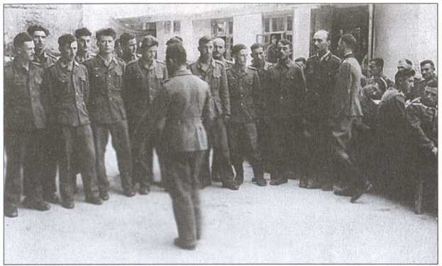 Иллюстрация к книге — Крым под пятой Гитлера. Немецкая оккупационная политика в Крыму 1941-1944 гг. [i_038.jpg]