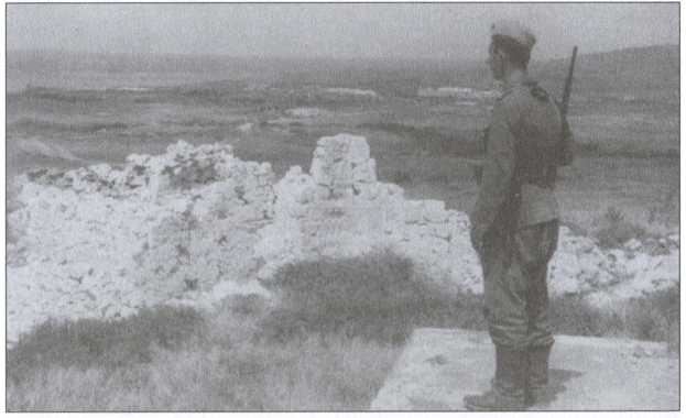 Иллюстрация к книге — Крым под пятой Гитлера. Немецкая оккупационная политика в Крыму 1941-1944 гг. [i_039.jpg]