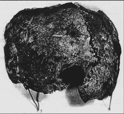 Иллюстрация к книге — Нюрнбергский набат. Репортаж из прошлого, обращение к будущему [i_047.jpg]