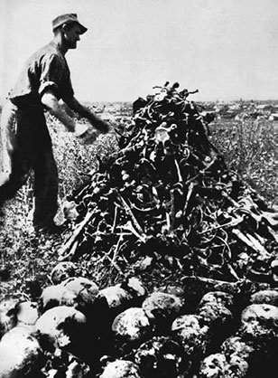 Иллюстрация к книге — Нюрнбергский набат. Репортаж из прошлого, обращение к будущему [i_072.jpg]