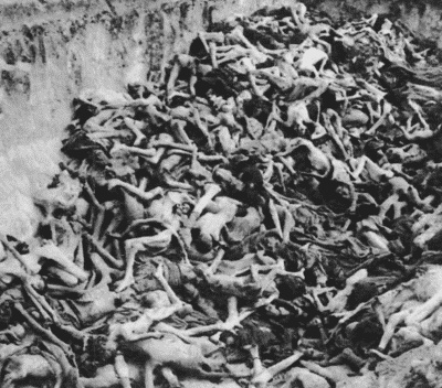 Иллюстрация к книге — Нюрнбергский набат. Репортаж из прошлого, обращение к будущему [i_145.jpg]