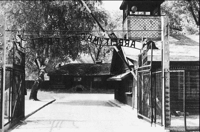 Иллюстрация к книге — Нюрнбергский набат. Репортаж из прошлого, обращение к будущему [i_237.jpg]