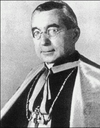 Иллюстрация к книге — Нюрнбергский набат. Репортаж из прошлого, обращение к будущему [i_323.jpg]