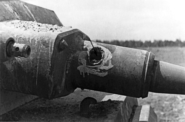 Иллюстрация к книге — Мы сгорали заживо. Смертники Великой Отечественной [i_411.jpg]