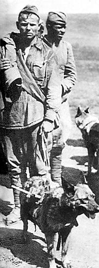 Иллюстрация к книге — Вяземская катастрофа 41-го года [_44.jpg]