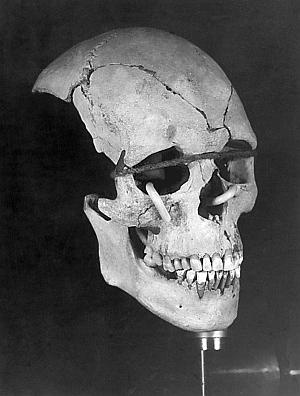 Иллюстрация к книге — Вяземская катастрофа 41-го года [_63.jpg]