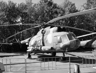 Иллюстрация к книге — Современная Африка. Войны и оружие [pic_131.jpg]