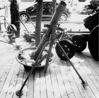 Иллюстрация к книге — Современная Африка. Войны и оружие [pic_349.jpg]