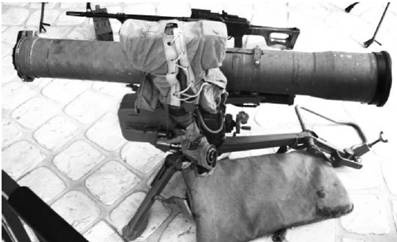 Иллюстрация к книге — Современная Африка. Войны и оружие [pic_426.jpg]