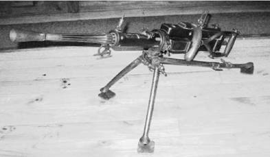 Иллюстрация к книге — Современная Африка. Войны и оружие [pic_436.jpg]