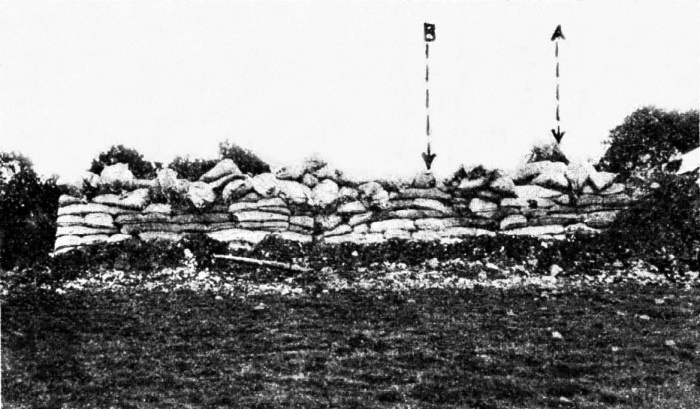 Иллюстрация к книге — Первые снайперы. «Служба сверхметких стрелков в Мировую войну» [i_006.jpg]