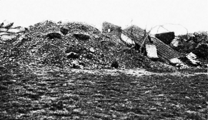 Иллюстрация к книге — Первые снайперы. «Служба сверхметких стрелков в Мировую войну» [i_007.jpg]