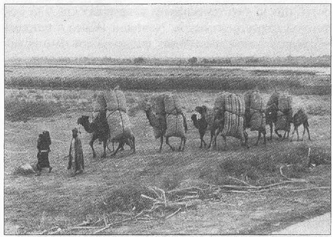 Иллюстрация к книге — Спецназ ГРУ в Кандагаре. Военная хроника [i_105.jpg]