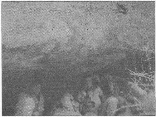 Иллюстрация к книге — Спецназ ГРУ в Кандагаре. Военная хроника [i_139.jpg]