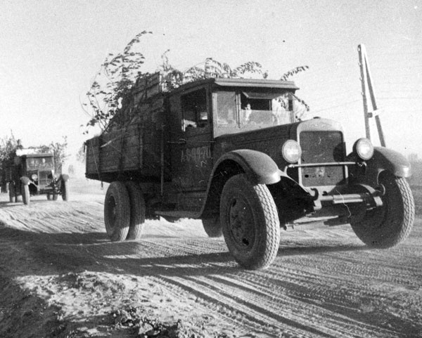 Иллюстрация к книге — Сталинградское побоище. «За Волгой для нас земли нет!» [i_016.jpg]