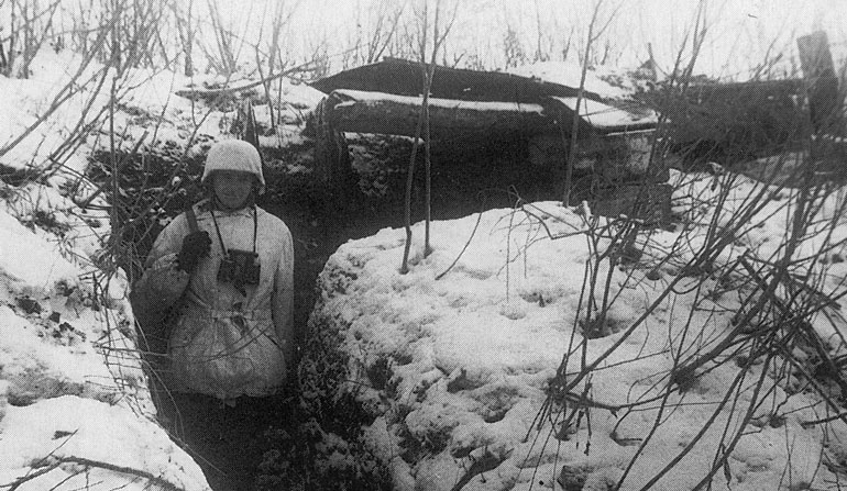 Иллюстрация к книге — Сталинградское побоище. «За Волгой для нас земли нет!» [i_230.jpg]