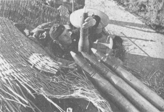 Иллюстрация к книге — Немецкие танки в бою [i_224.jpg]