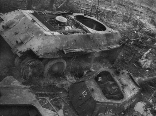 Иллюстрация к книге — Танковые асы Второй Мировой [i_185.jpg]