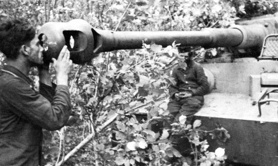 Иллюстрация к книге — Танковые асы Второй Мировой [i_288.jpg]