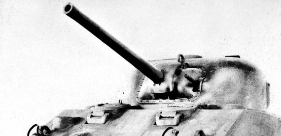 Иллюстрация к книге — Танковые асы Второй Мировой [i_301.jpg]