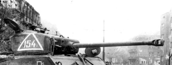 Иллюстрация к книге — Танковые асы Гитлера [i_150.jpg]