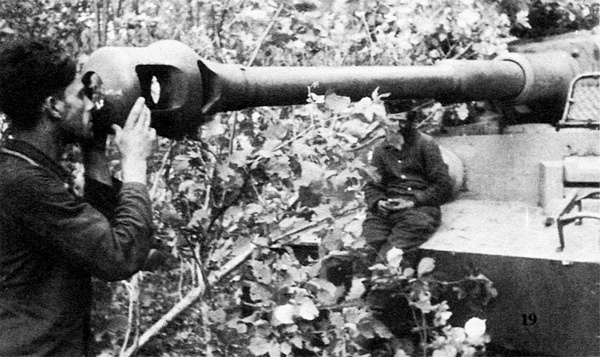 Иллюстрация к книге — Тяжелый танк «Тигр». Смертельное оружие Рейха [i_040.jpg]