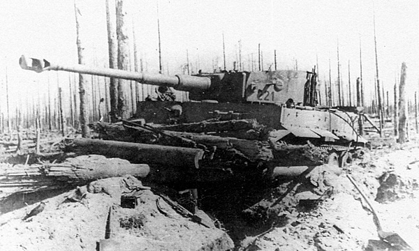 Иллюстрация к книге — Тяжелый танк «Тигр». Смертельное оружие Рейха [i_065.jpg]