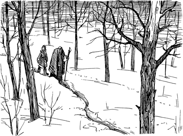 Иллюстрация к книге — Молли Блэкуотер. За краем мира [_27.jpg]